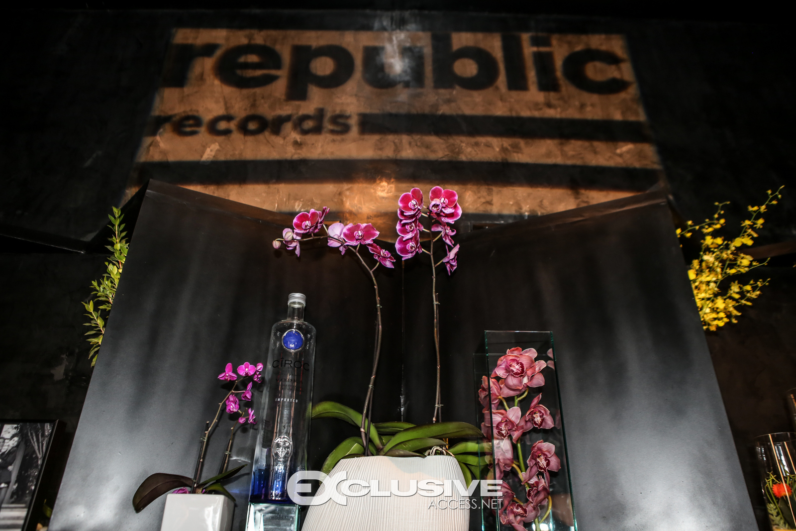 Republic Records & Guess Celebrate the 2016 MTV Video Music Awards at Vandal with Cocktails by Ciroc (16 of 180)