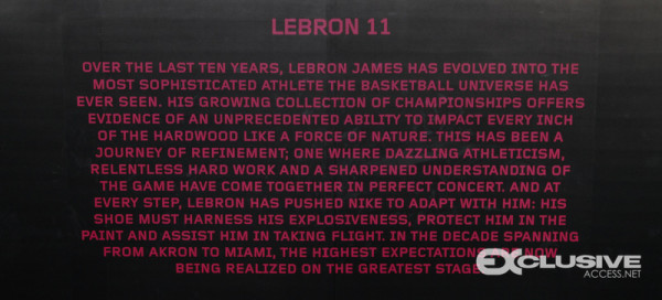 Lebron James The 11 Experince (3 of 93)