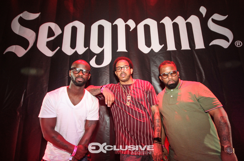 Seagrams Gin Presents The HOB Takeover Finale photos by Thaddaeus McAdams