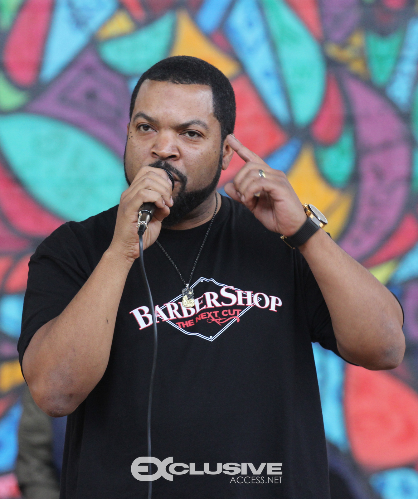 Ice Cube promotes the Next Cut photos by Thaddaeus McAdams