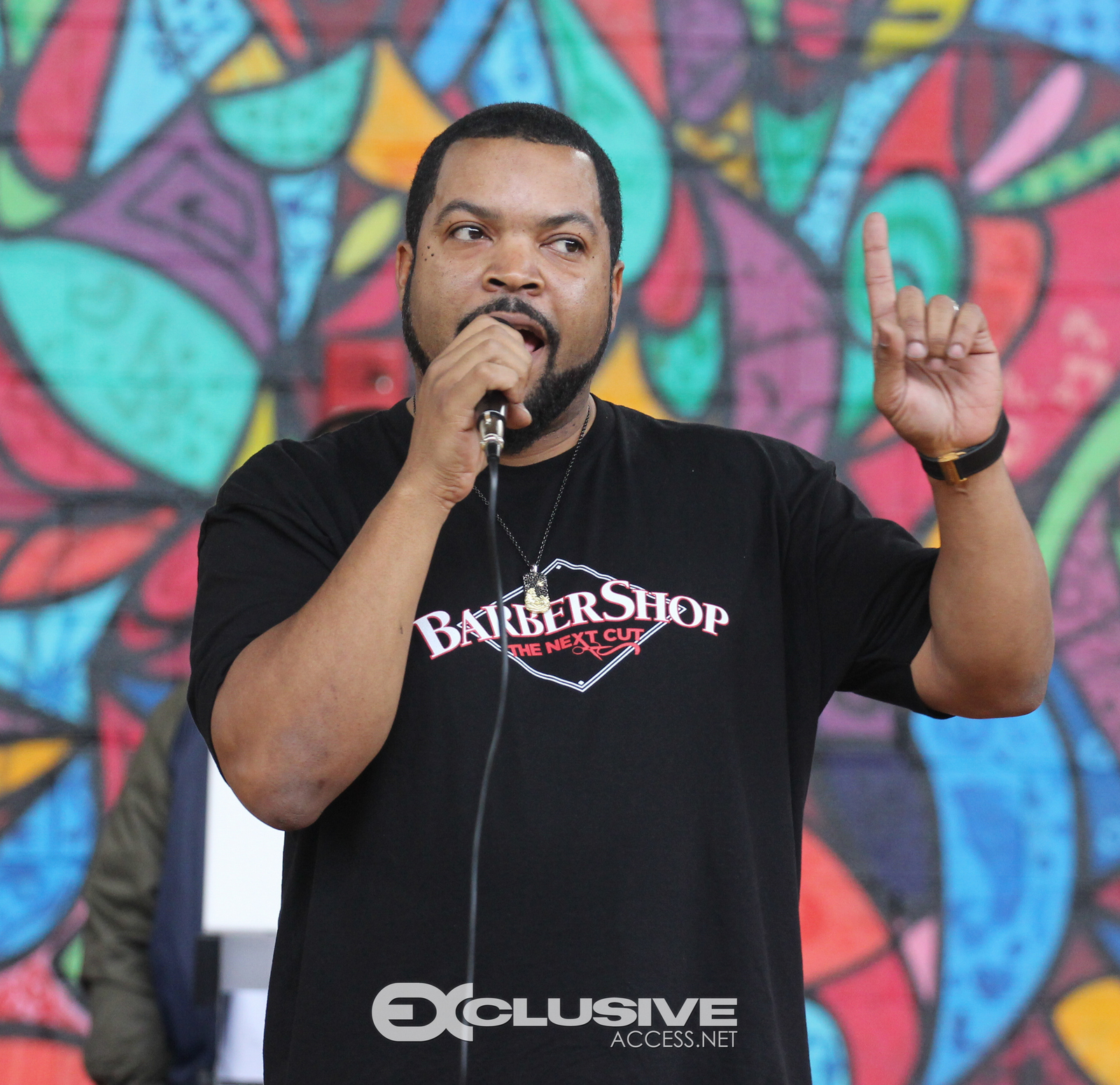 Ice Cube promotes the Next Cut photos by Thaddaeus McAdams