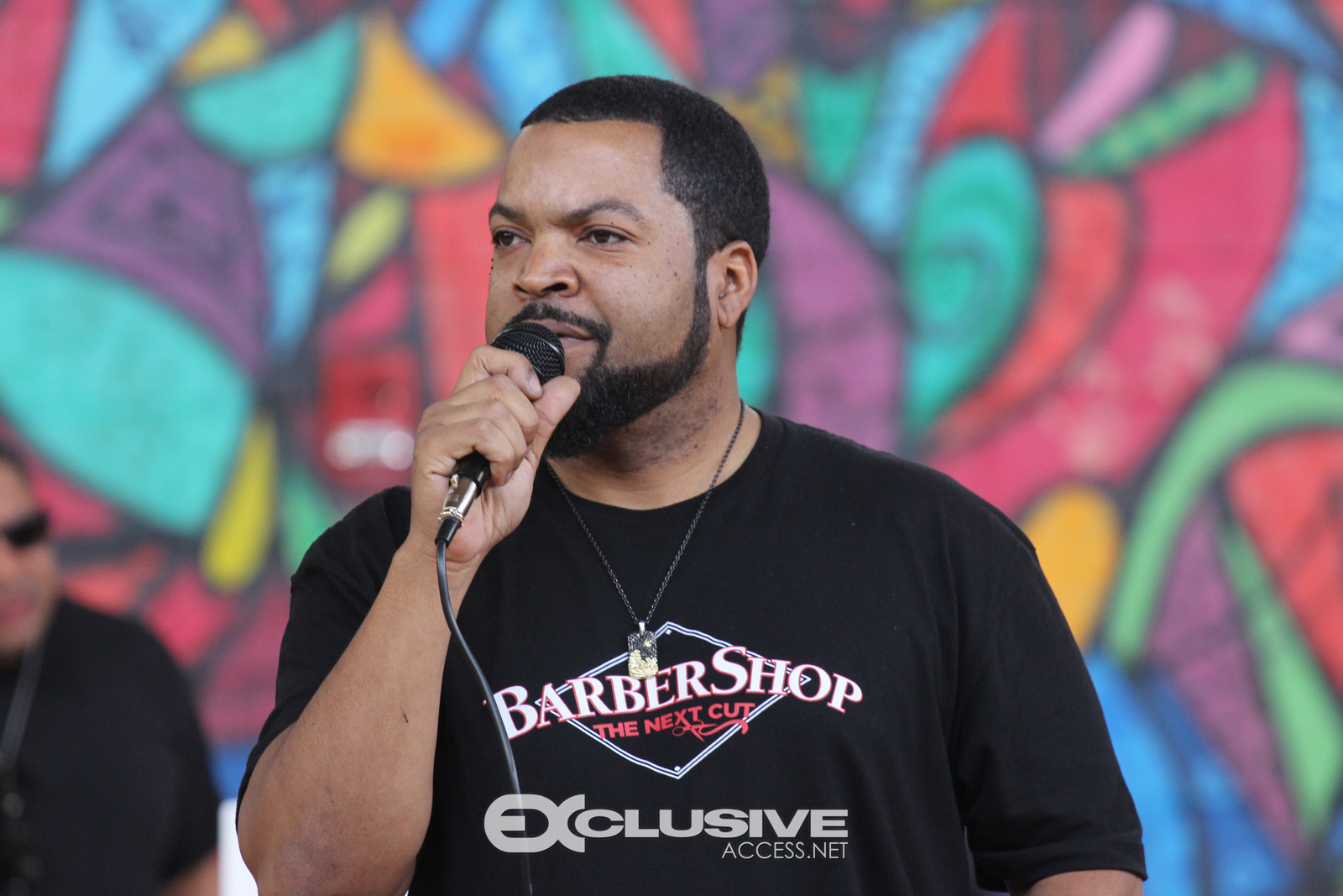 Ice Cube promotes the Next Cut photos by Thaddaeus McAdams