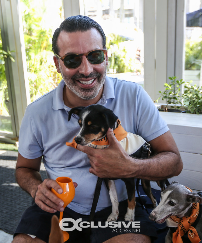 veuve clicquot presents The Puppy Brunch photos by Thaddaeus McAdams - ExclusiveAccess.Net (32 of 98)