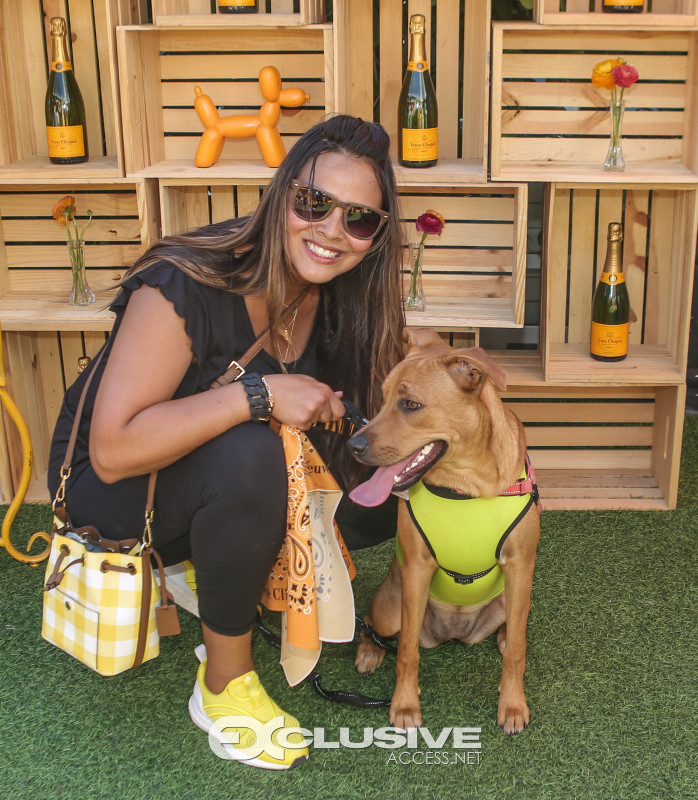 veuve clicquot presents The Puppy Brunch photos by Thaddaeus McAdams - ExclusiveAccess.Net (44 of 98)