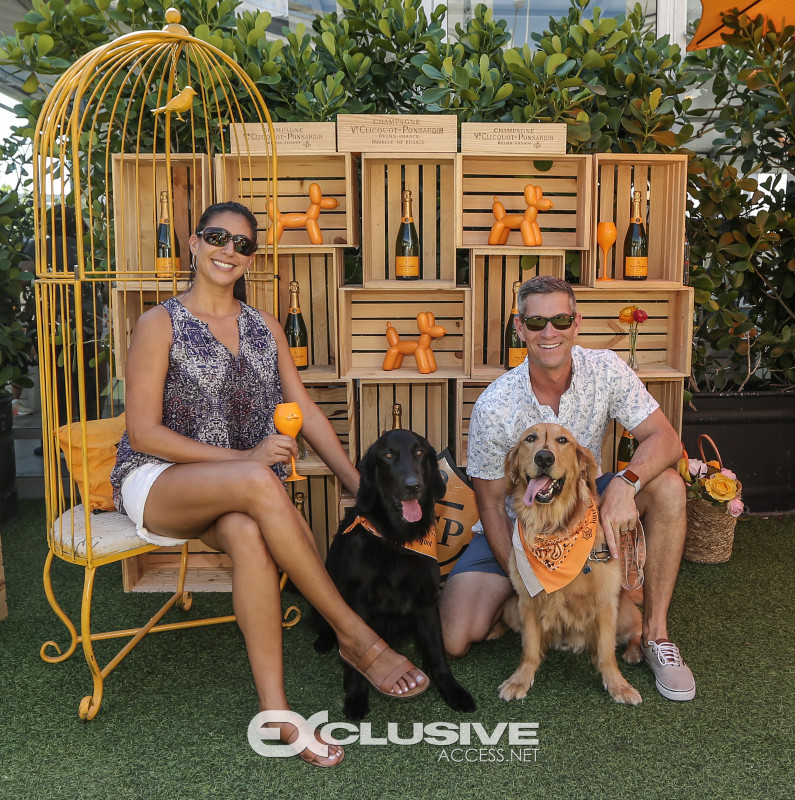 veuve clicquot presents The Puppy Brunch photos by Thaddaeus McAdams - ExclusiveAccess.Net (5 of 98)