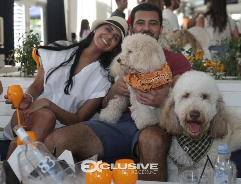 veuve clicquot presents The Puppy Brunch photos by Thaddaeus McAdams - ExclusiveAccess.Net (74 of 98)