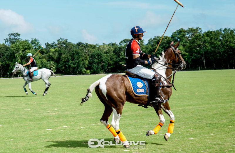 El Rey Polo and Country Club Presents The Quinta Summer Polo Cup -  Exclusive Access