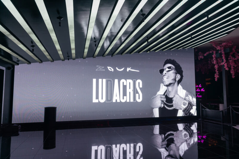 Ludacris Live from Zouk Las Vegas (Photos by Kyle Nadler _ ExclusiveAccess.Net)-94